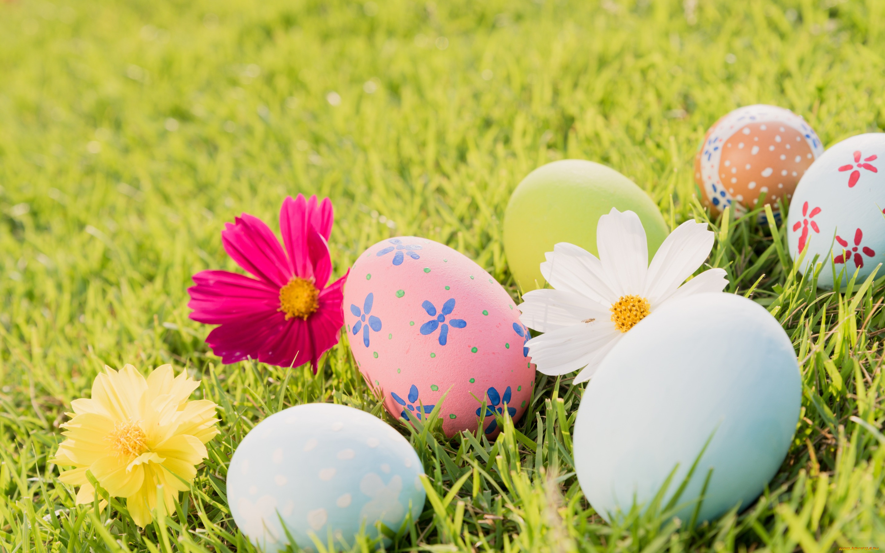 , , pastel, colors, decoration, easter, flowers, spring, , , , eggs